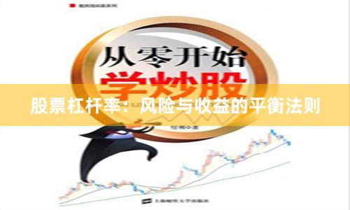 股票杠杆率：风险与收益的平衡法则