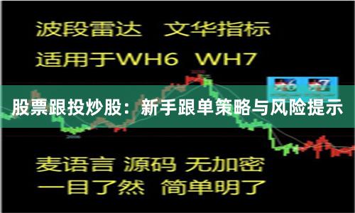 股票跟投炒股：新手跟单策略与风险提示