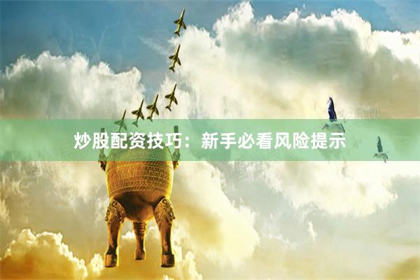 炒股配资技巧：新手必看风险提示