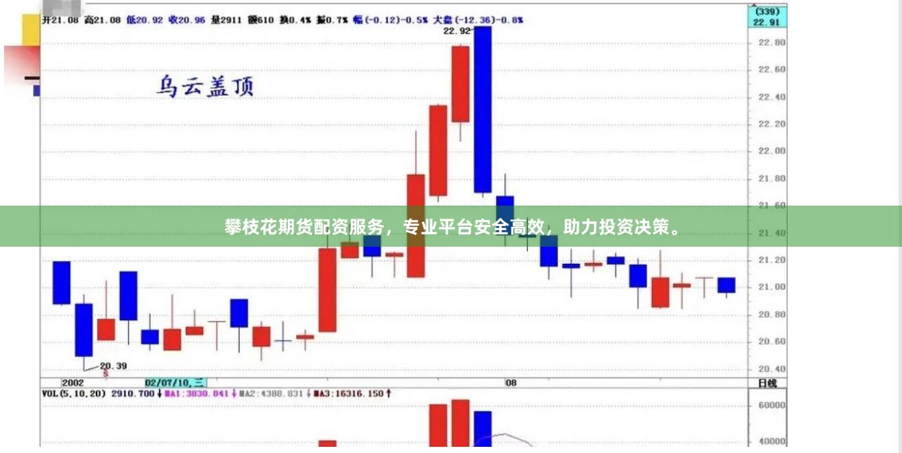 攀枝花期货配资服务，专业平台安全高效，助力投资决策。